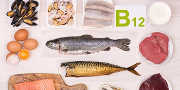Quels sont les bienfaits de la vitamine B12 ?
