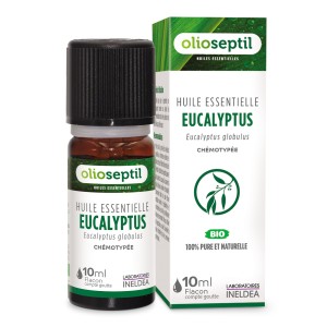 aHuile essentielle Eucalyptus globulus Huile essentielle Eucalyptus globulus