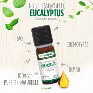 Huile essentielle Eucalyptus globulus