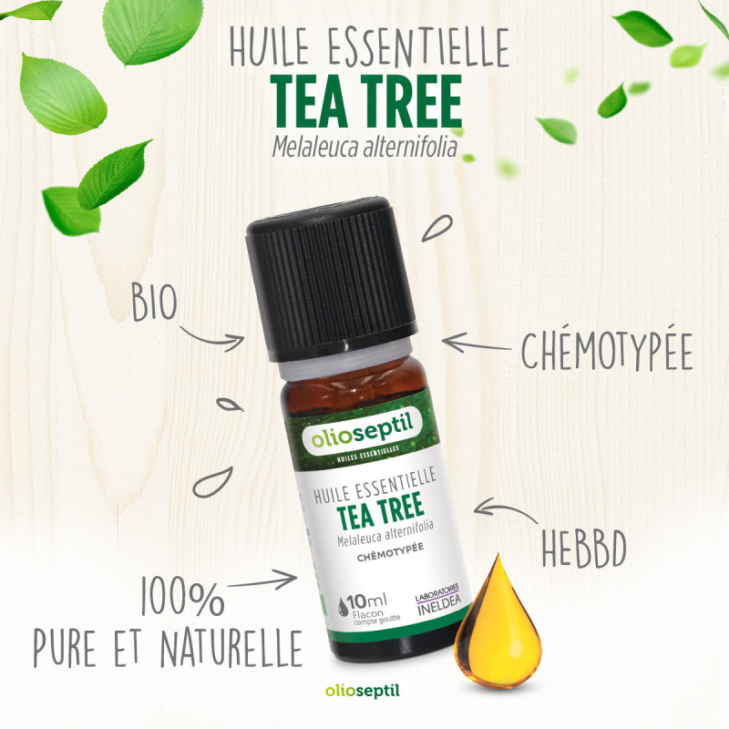 Huile essentielle Tea Tree