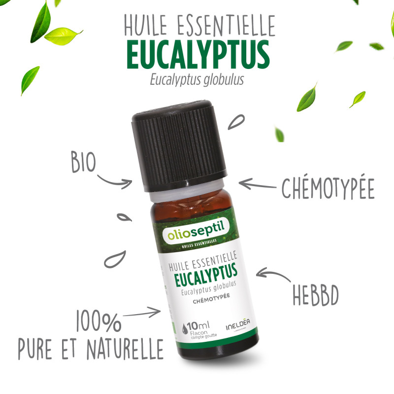 Huile essentielle Eucalyptus globulus