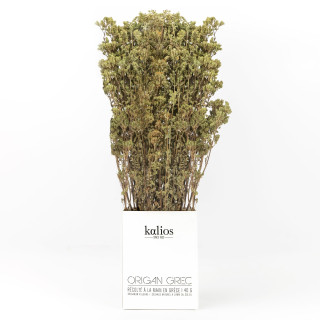 Origan séché en branche Kalios Origan séché en branche Kalios