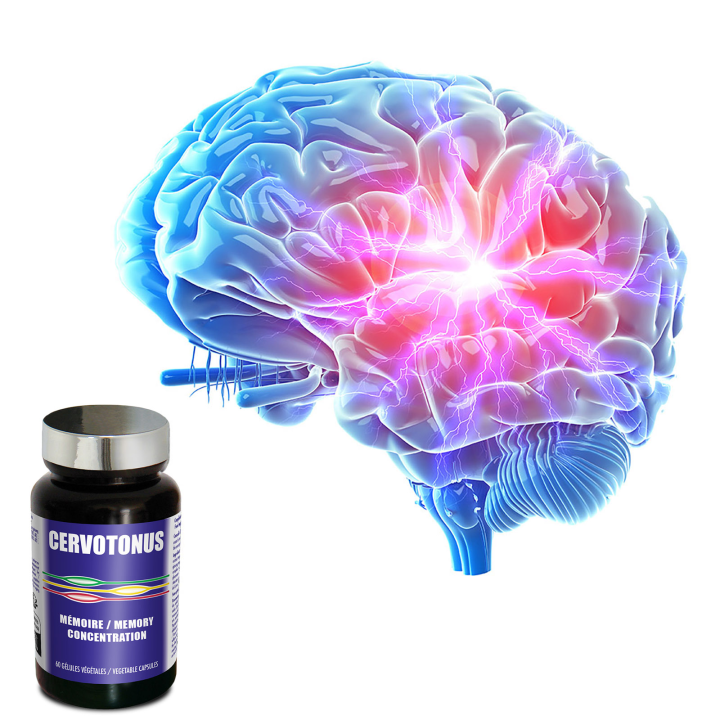 Cervotonus - Renforce la mémoire et la concentration - 60 gélules