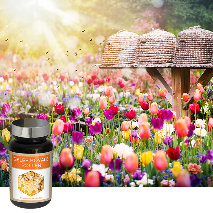 Gelée Royale Pollen - Augmente résistance de l'organisme - 60 gélules