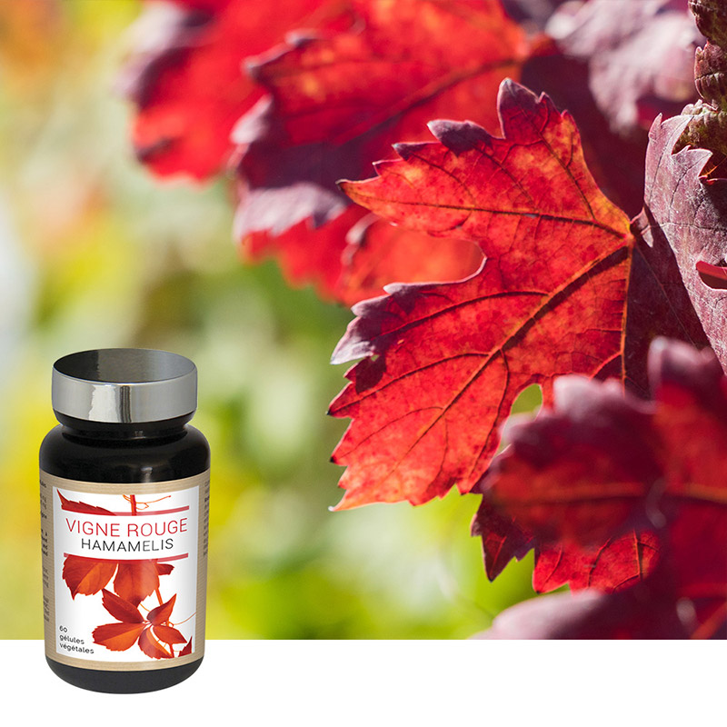 VIGNE ROUGE HAMAMELIS