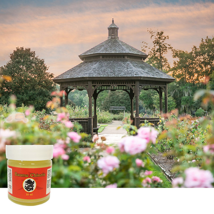 Baume Chinois Ineldea - Apaise douleurs et contusions - Pot de 30 g