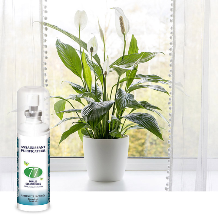 Brume Ambiance aux 77 Huiles Essentielles - Assainit et purifie l'air