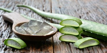 Les bienfaits de l’Aloe Vera : un soin naturel pour peau et cheveux