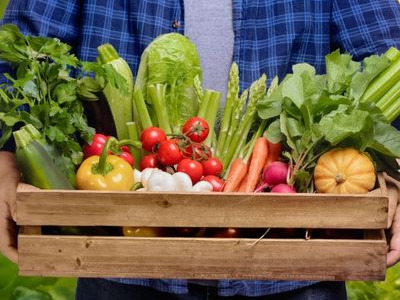 LE ROLE DU MICROBIOTE INTESTINAL DANS LA SANTE GLOBALE : DIGESTION, IMMUNITE, POIDS, DEPRESSION, CERVEAU