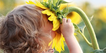 Les plantes et les maux de l'enfance