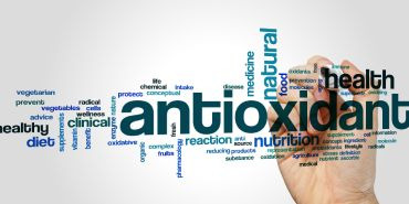 Zoom sur les antioxydants
