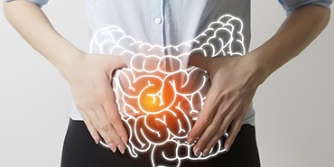 L’intestin, organe clé de notre santé !