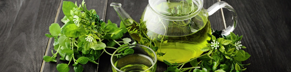 10 bienfaits du thé vert sur la santé