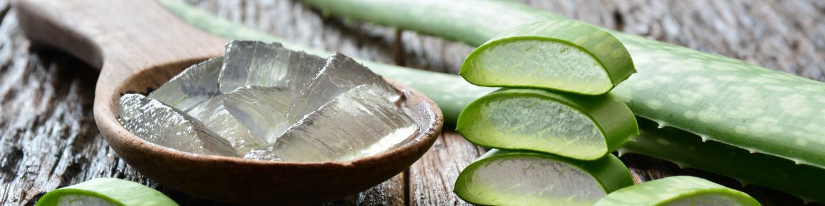 Les bienfaits de l’Aloe Vera : un soin naturel pour peau et cheveux