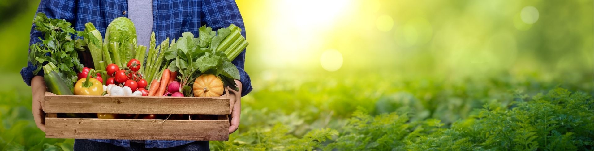 LE ROLE DU MICROBIOTE INTESTINAL DANS LA SANTE GLOBALE : DIGESTION, IMMUNITE, POIDS, DEPRESSION, CERVEAU